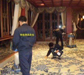 地毯清洗杀虫消毒
